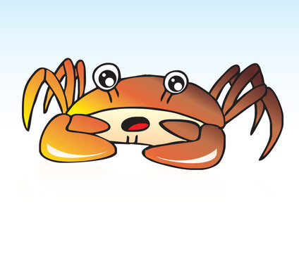 Lovely funny Red Sea Crab