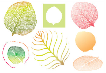 High detailed leaf for designer