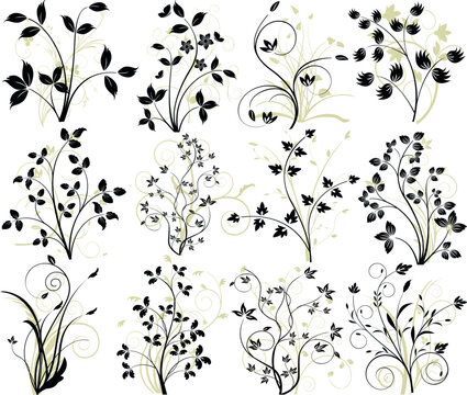 Abstract floral background vector