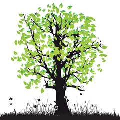 Obraz premium Tree silhouette old, grass, summer