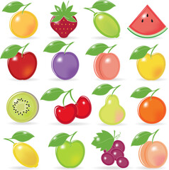 Retro-stylized fruit icons with reflection and shadow