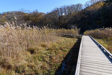 秋の塩原の大沼公園