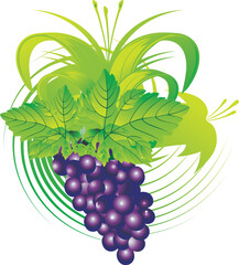 Obraz premium The stylised cluster of grapes with leaves on an abstract background