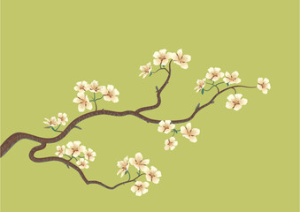 Fototapeta premium This is the vector illustration of a flowered sakura, japanese cherry tree