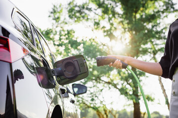 Female hand plugging in a charger in opened charging socket on a black electric car, with the sun shining through a green treetop in the background