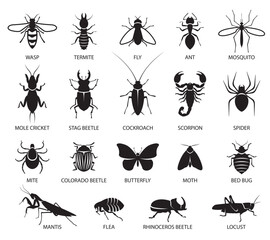 Insects icon set. Signs of a variety of insects, butterflies, pests and parasites. Pest control. Vector illustration - 607598088