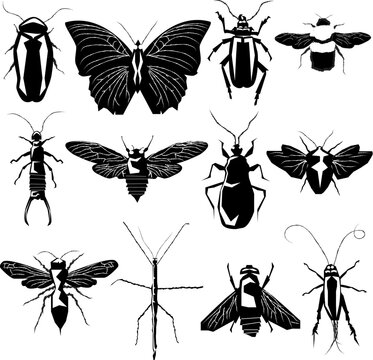Insect and bug collection in detailed vector silhouette