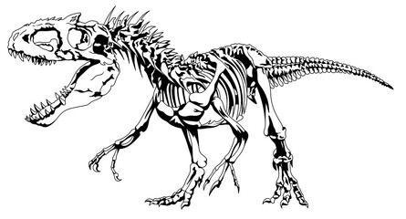 Black and white dinosaur skeleton with big teeth. Tyrannosaurus rex bones. Anatomy of a large carnivorous dinosaur. Jurassic period.