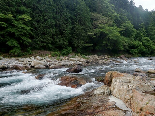 大芦川での渓流釣り