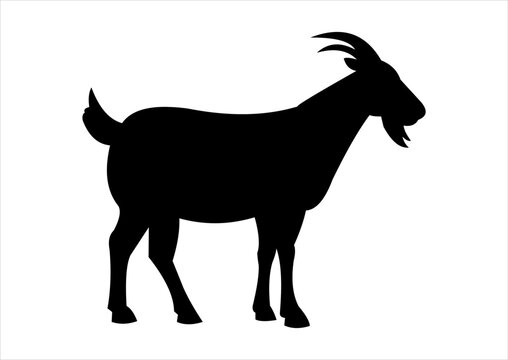 vector illustration of animal silhouette, silhouette of a goat.