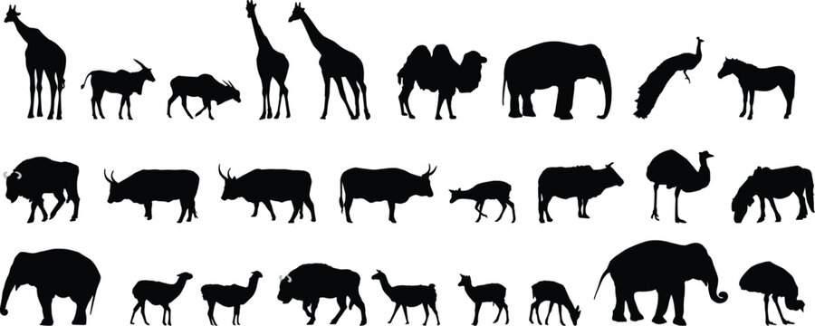 various animals silhouettes