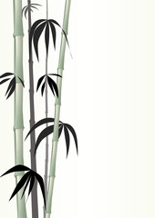 Fototapeta na wymiar Green bamboo shoots on tranquil green background