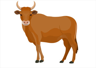 vector illustration of a farm animal called a cow.