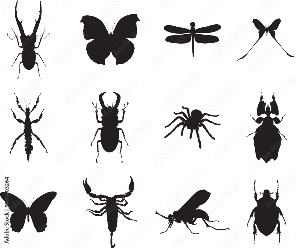 Poster animals. set of 12 round vector buttons for web