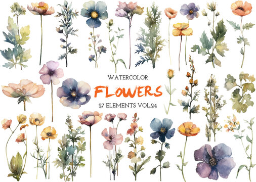 Vector Watercolor Painted Flower. Hand Drawn Flower Design Elements Isolated On White Background.