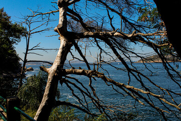 Monkey and the Sea_02