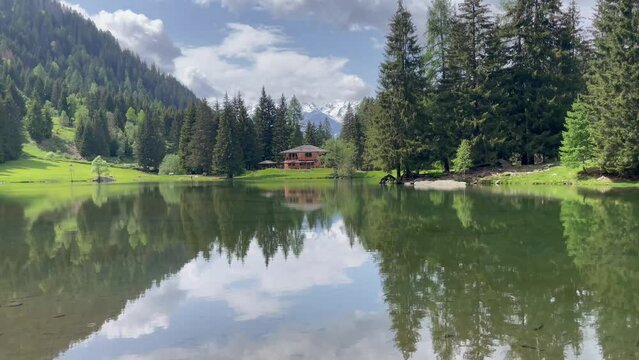 lago di alta montagna bosco 