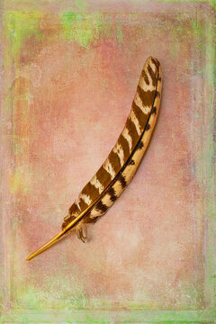 Light As A Feather