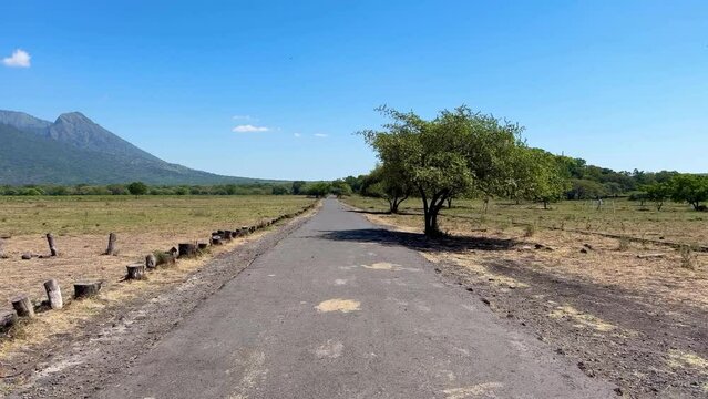 Capture the beauty of a serene tropical savannah in Baluran National Park, Situbondo, Indonesia. This stunning footage showcases the cool air and tranquil atmosphere of the lush landscape