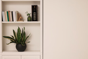 Shelves with houseplants and different decor near beige wall, space for text. Interior design