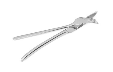 Fork and knife isolated on white. Stylish shiny cutlery set