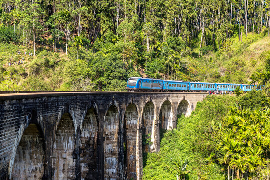 Train at Nine arch bridge,  Sri Lanka