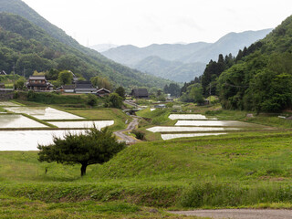 猪名川町の里山に広がる棚田