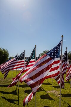 Hundreds of flags fly over a park field in Henderson, Nevada for Memorial Day