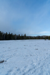 Washoe Meadows State Park in the winter time