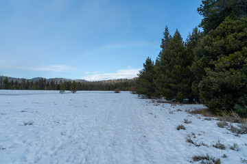 View of the Washoe Meadows State Park in the winter time