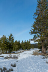 Snow at Washoe Meadows State Park in Lake Tahoe, California