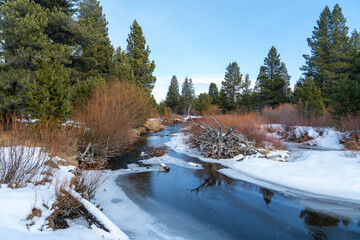 Shot of the creek at Washoe Meadows State Park in Lake Tahoe