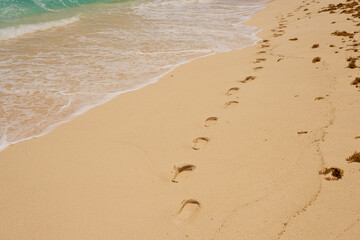 Fototapeta na wymiar Footprints and waves with foam on the Caribbean coast in Mexico.