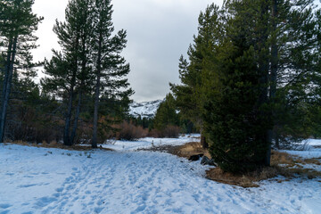 Hiking Washoe Meadows State Park in Lake Tahoe in the winter season