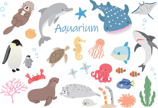 ジンベエザメ Images – Browse 634 Stock Photos, Vectors, and Video