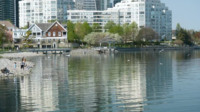 beautiful summer lakeshore view of Etobicoke Humber River lake Ontario Toronto Canada ppl feeding birds by water