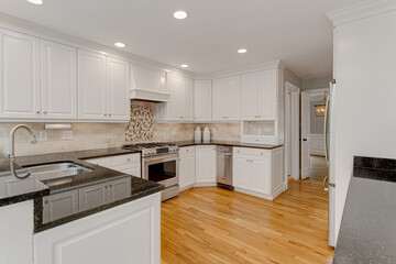 Spring Modern Clean Kitchen Interior with Blank Granite Countertops and Hardwood Organic Floors