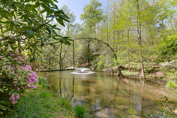 Fototapeta na wymiar Spring Pond with Water Fountain and Arched Tree 