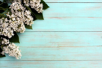 White beautiful lilac branches lie on a green wooden surface with space for text.	