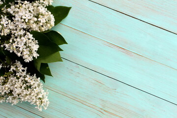 White beautiful lilac branches lie on a green wooden surface with space for text.