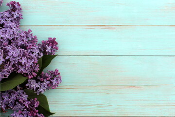 Purple lilac flowers lie on a green painted wooden surface.