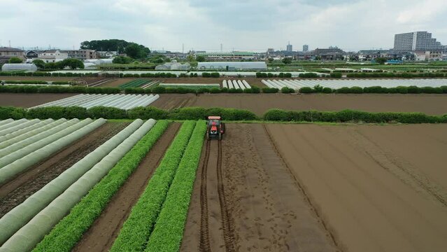 農業と自然の風景を表現しています。農業は、私たちの生活に欠かせないものです。農業によって、私たちは食料を得ることができます。また、農業は、私たちの生活環境を支えています。農業は、自然と共存しながら、私たちの生活を豊かにしてくれます。