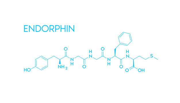 Endorphin structural chemical formula isolated on white background. Hormone in human brain. Medical scientific concepts. Vector EPS10 illustration.