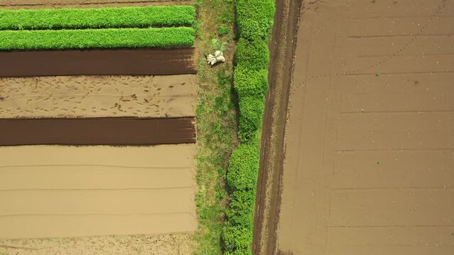 農業と自然の風景を表現しています。農業は、私たちの生活に欠かせないものです。農業によって、私たちは食料を得ることができます。また、農業は、私たちの生活環境を支えています。農業は、自然と共存しながら、私たちの生活を豊かにしてくれます。