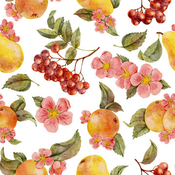 seamless pattern with watercolor drawing apple and pear tree branch with fruits, flowers and leaves and rowan berries, hand drawn illustration