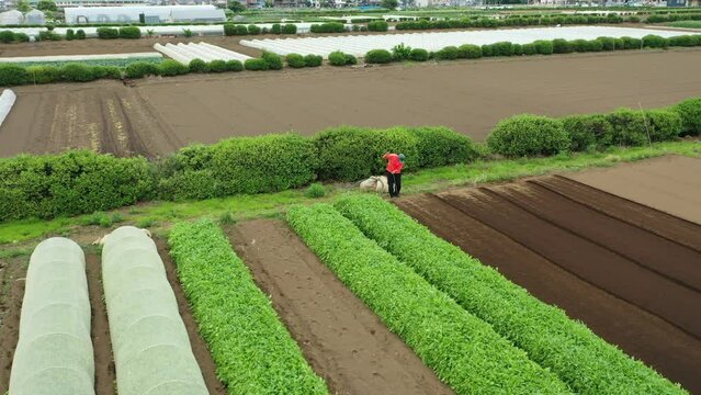 農業と自然の風景を表現しています。農業は、私たちの生活に欠かせないものです。農業によって、私たちは食料を得ることができます。また、農業は、私たちの生活環境を支えています。農業は、自然と共存しながら、私たちの生活を豊かにしてくれます。