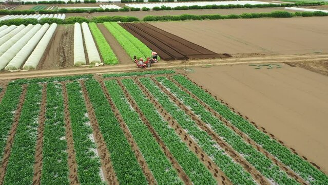 農業と自然の風景を表現しています。農業は、私たちの生活に欠かせないものです。農業によって、私たちは食料を得ることができます。また、農業は、私たちの生活環境を支えています。農業は、自然と共存しながら、私たちの生活を豊かにしてくれます。