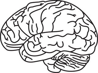 a human brain-shaped vector icon design that is meaningful about human knowledge, this design has the theme of knowledge. This design can be used as an illustration of human intelligence.
