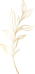 leaf gold png file minimal design