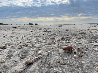A sandy beach with shells on a cloudy day